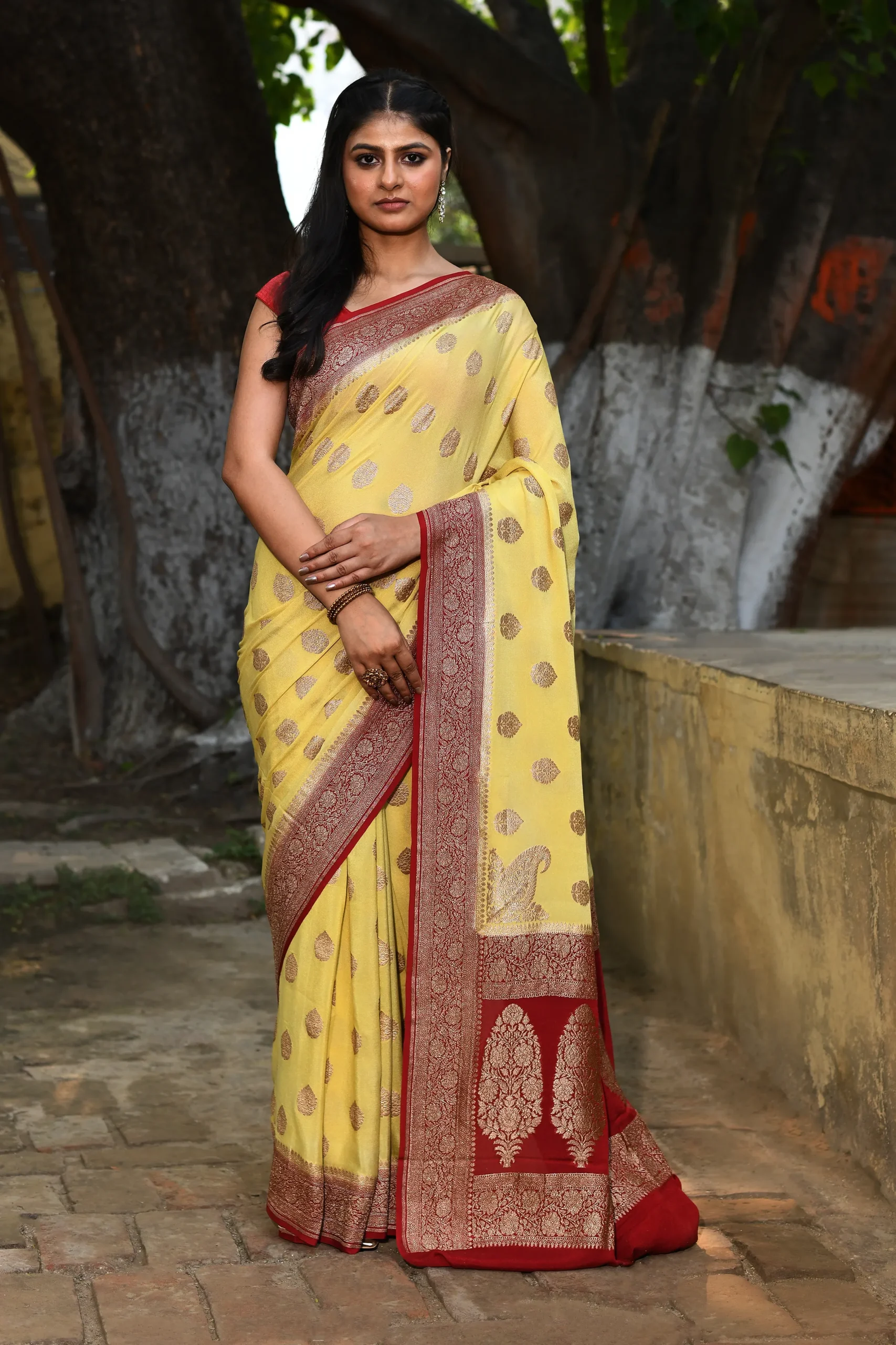 Rich Red Banarasi Silk Saree with Gold Zari Buta Motifs from Golden Muslin By Naaritva Banaras