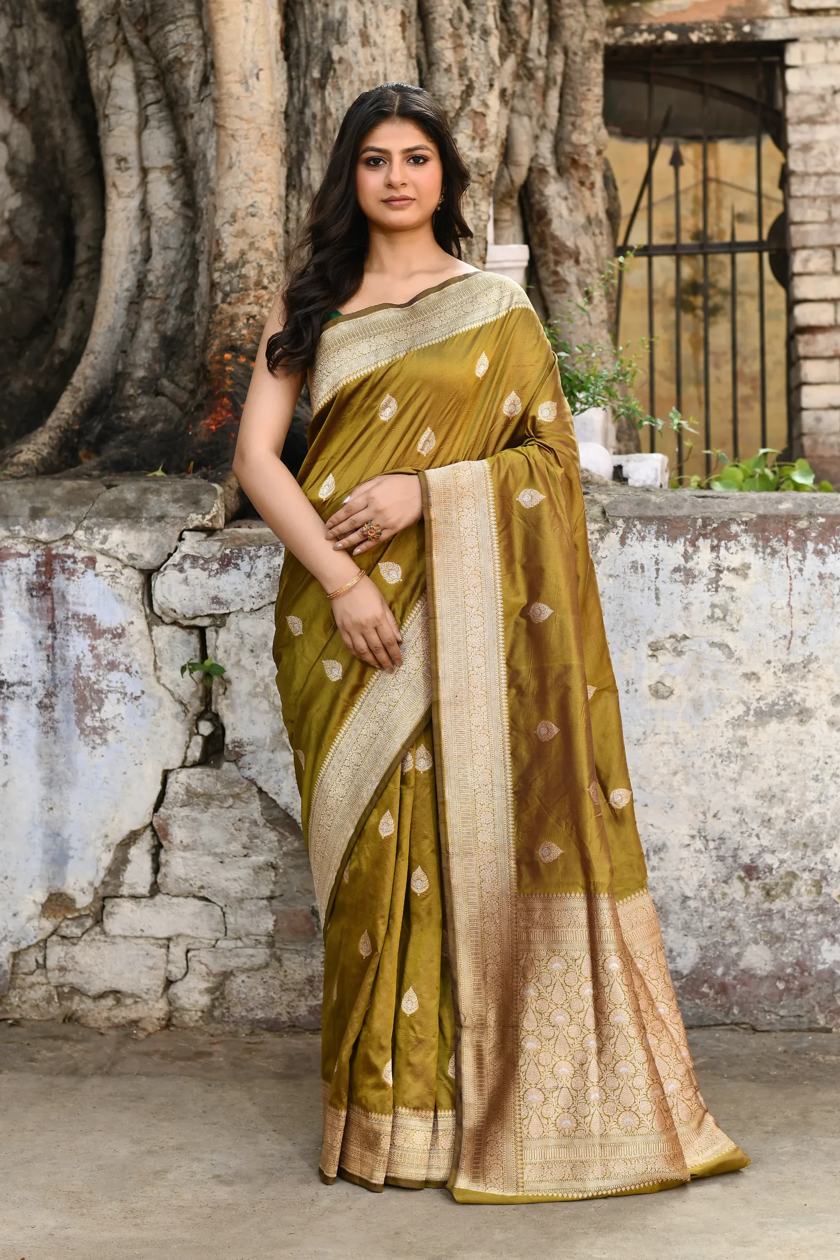 Olive Green Pure Katan Silk Banarasi Saree with Ivory Border from Golden Muslin By Naaritva Banaras