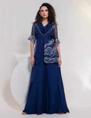 Royal Blue Jumpsuit with Cowl Neckline and Sheer Embellished Overlay from Golden Muslin By Anuj Agarwal