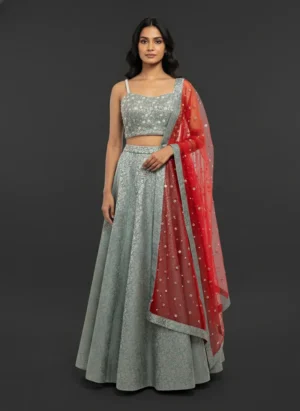 Grey Banarasi Lehenga with Pearl Brocade Blouse and Red Net Dupatta