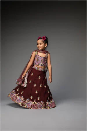 Deep wine embroidered lehenga choli and dupatta