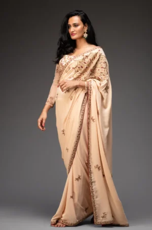 Nude embroidered saree with matching blouse