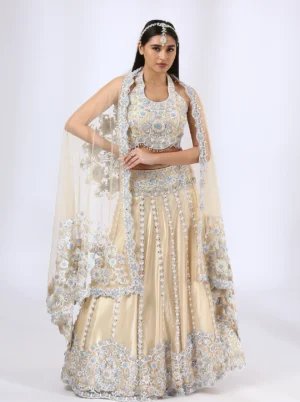 Nude embroidered lehenga choli and dupatta