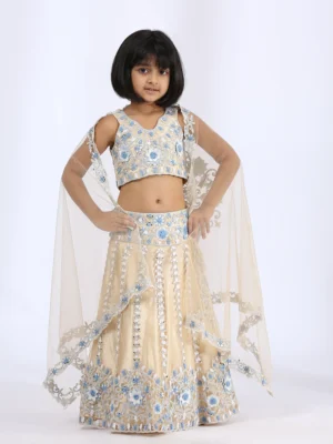 Beige Embroidered Lehenga and choli