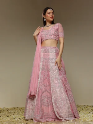 Two tone panelled embroidered lehenga set