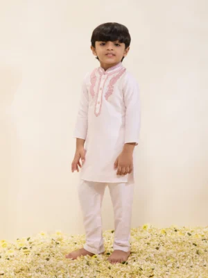 Light Pink Embroidered Kurta Set with Narrow Pants