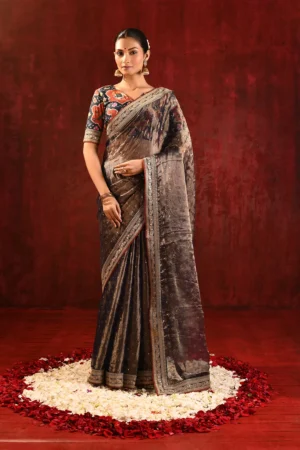 Stone Brown Tissue Foil Saree with Embroidered Border & Stitched Blouse