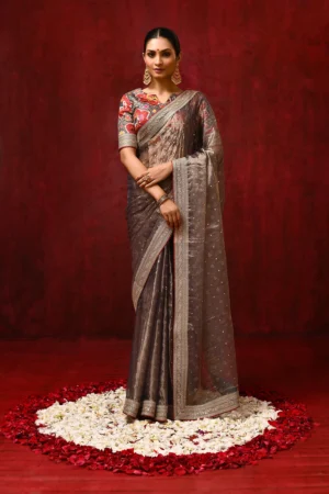 Golden Brown Tissue Foil Saree with Embroidered Border & Stitched Blouse