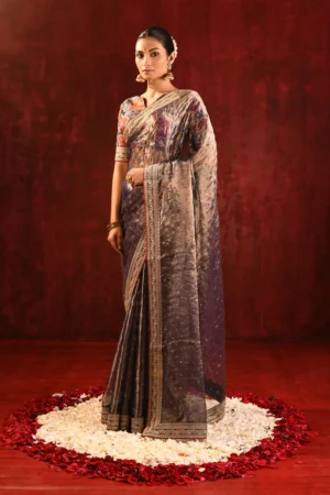 Shiny Dark Brown Tissue Foil Saree with Embroidered Border & Blouse