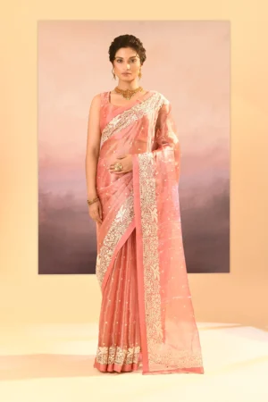 Elegant Peach Tissue Saree with Parsi Gara Embroidery and Delicate Buttis