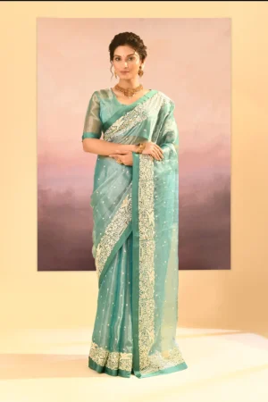 Captivating Mint Green Tissue Saree with Parsi Gara Embroidery and Delicate Buttis