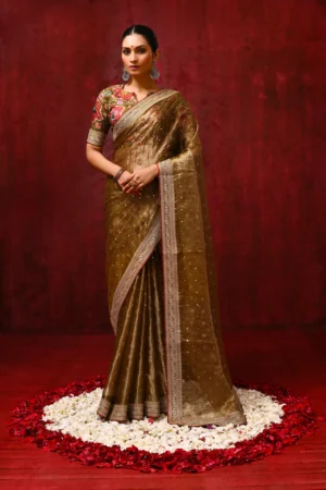 Earthy Gold Tissue Foil Saree with Embroidered Border & Stitched Blouse