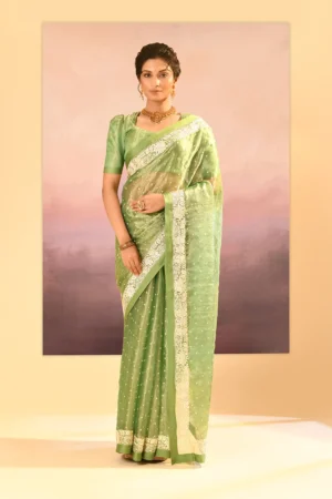 Elegant Lime Green Tissue Saree with Parsi Gara Embroidery & Stitched Blouse