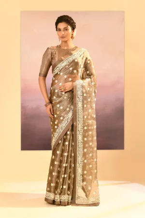 Elegant Earthy Green Parsi Gara Tissue Saree