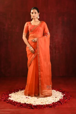 Bright Orange Organza Saree with Gomatha Embroidery & Stitched Blouse