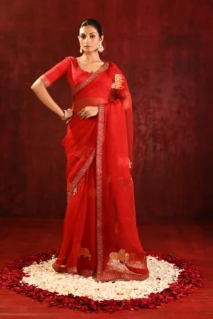 Crimson Red Tissue Organza Saree with Gomatha Applique Embroidery