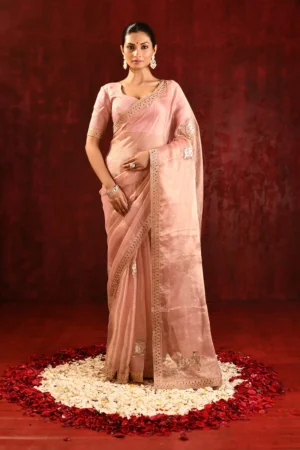 Pastel Pink Tissue Saree with Gomatha Embroidery & Stitched Blouse