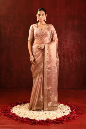 Pastel Gold Organza Saree with Gomatha Embroidery & Stitched Blouse