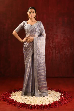 Metallic Grey Tissue Saree with Embroidered Border & Designer Blouse