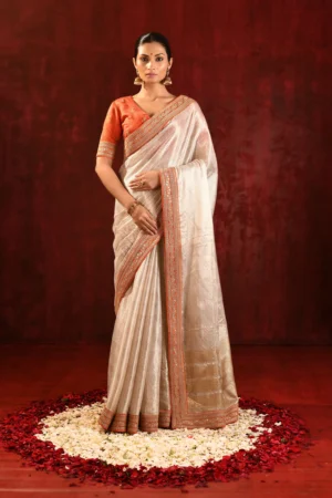 Soft Gold Tissue Saree with Rust Orange Blouse & Embroidered Border