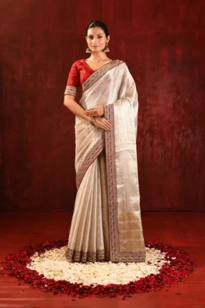Soft Gold Metallic Tissue Saree with Red Raw Silk Blouse & Self Border