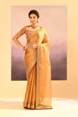 Jewel Gold Metallic Tissue Saree with Embroidered Border and Stitched Designer Blouse