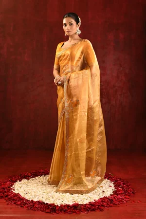 Golden Tissue Silk Saree with Intricate Ethnic Woven Detailing
