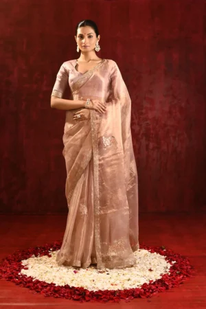 Pinkish Beige Gold Tissue Saree with Gomatha Applique Embroidery Elegance