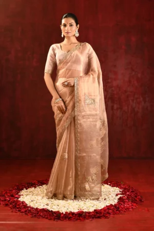 Beige Tissue Saree with Gomatha Embroidery & Stitched Blouse